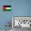 Palestine Flag Design with Wood Patterning - Flags of the World Series-Philippe Hugonnard-Mounted Art Print displayed on a wall