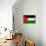 Palestine Flag Design with Wood Patterning - Flags of the World Series-Philippe Hugonnard-Mounted Art Print displayed on a wall