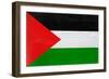 Palestine Flag Design with Wood Patterning - Flags of the World Series-Philippe Hugonnard-Framed Premium Giclee Print