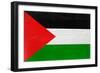 Palestine Flag Design with Wood Patterning - Flags of the World Series-Philippe Hugonnard-Framed Premium Giclee Print