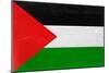 Palestine Flag Design with Wood Patterning - Flags of the World Series-Philippe Hugonnard-Mounted Premium Giclee Print