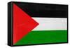 Palestine Flag Design with Wood Patterning - Flags of the World Series-Philippe Hugonnard-Framed Stretched Canvas