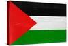 Palestine Flag Design with Wood Patterning - Flags of the World Series-Philippe Hugonnard-Stretched Canvas