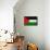 Palestine Flag Design with Wood Patterning - Flags of the World Series-Philippe Hugonnard-Framed Stretched Canvas displayed on a wall