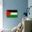 Palestine Flag Design with Wood Patterning - Flags of the World Series-Philippe Hugonnard-Art Print displayed on a wall