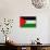 Palestine Flag Design with Wood Patterning - Flags of the World Series-Philippe Hugonnard-Art Print displayed on a wall