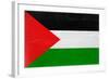 Palestine Flag Design with Wood Patterning - Flags of the World Series-Philippe Hugonnard-Framed Art Print