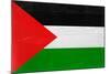 Palestine Flag Design with Wood Patterning - Flags of the World Series-Philippe Hugonnard-Mounted Art Print