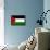 Palestine Flag-null-Framed Poster displayed on a wall