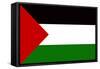 Palestine Flag-null-Framed Stretched Canvas