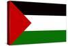 Palestine Flag-null-Stretched Canvas