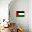 Palestine Flag-null-Poster displayed on a wall