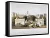 Palestine Place, Bethnal Green, London, C1840-F Jones-Framed Stretched Canvas