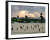 Palestinian Children from the Al-Mawasi Enclave-null-Framed Photographic Print
