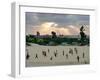 Palestinian Children from the Al-Mawasi Enclave-null-Framed Photographic Print