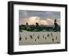 Palestinian Children from the Al-Mawasi Enclave-null-Framed Photographic Print