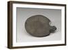 Palette en forme de tortue avec la tête seule indiquée-null-Framed Giclee Print