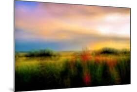 palette photography-Alex Caminker-Mounted Photographic Print