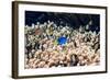 Palette Surgeonfish Over Coral-Georgette Douwma-Framed Premium Photographic Print