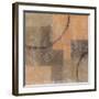 Palimpsest II-Douglas-Framed Giclee Print