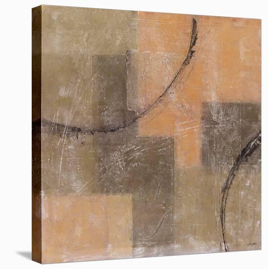 Palimpsest II-Douglas-Stretched Canvas