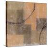 Palimpsest II-Douglas-Stretched Canvas