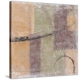 Palimpsest IV-Douglas-Stretched Canvas