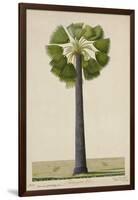 Palinyra Tree, 1800-10-null-Framed Giclee Print