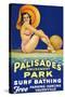 Palisade Amusement Park Surf Bathing-null-Stretched Canvas