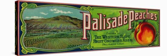 Palisade, Colorado - Palisade Peach Label-Lantern Press-Stretched Canvas
