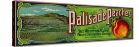 Palisade, Colorado - Palisade Peach Label-Lantern Press-Stretched Canvas