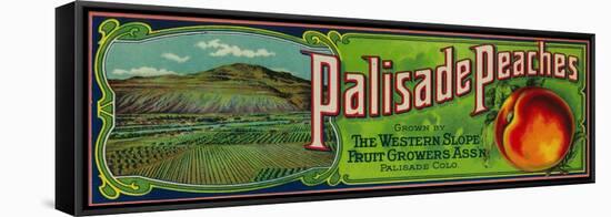 Palisade, Colorado - Palisade Peach Label-Lantern Press-Framed Stretched Canvas