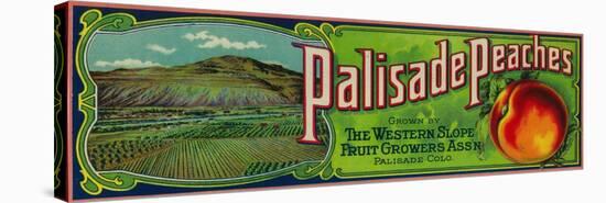 Palisade, Colorado - Palisade Peach Label-Lantern Press-Stretched Canvas