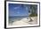 Paliton Beach, near San Juan, Siquijor, Philippines, Southeast Asia, Asia-Nigel Hicks-Framed Photographic Print