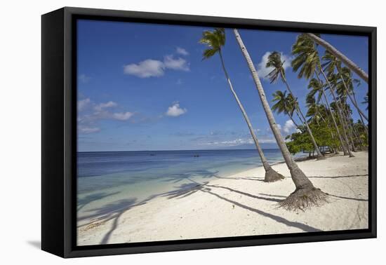 Paliton Beach, near San Juan, Siquijor, Philippines, Southeast Asia, Asia-Nigel Hicks-Framed Stretched Canvas