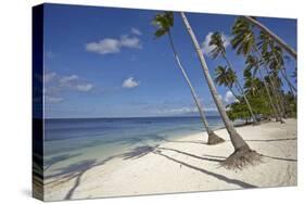 Paliton Beach, near San Juan, Siquijor, Philippines, Southeast Asia, Asia-Nigel Hicks-Stretched Canvas