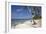 Paliton Beach, near San Juan, Siquijor, Philippines, Southeast Asia, Asia-Nigel Hicks-Framed Photographic Print