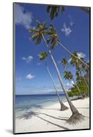 Paliton Beach, near San Juan, Siquijor, Philippines, Southeast Asia, Asia-Nigel Hicks-Mounted Photographic Print
