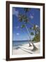 Paliton Beach, near San Juan, Siquijor, Philippines, Southeast Asia, Asia-Nigel Hicks-Framed Photographic Print