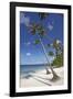 Paliton Beach, near San Juan, Siquijor, Philippines, Southeast Asia, Asia-Nigel Hicks-Framed Photographic Print