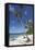 Paliton Beach, near San Juan, Siquijor, Philippines, Southeast Asia, Asia-Nigel Hicks-Framed Stretched Canvas