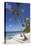 Paliton Beach, near San Juan, Siquijor, Philippines, Southeast Asia, Asia-Nigel Hicks-Stretched Canvas