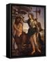 Pallas Athena and the Centaur, 1482-Sandro Botticelli-Framed Stretched Canvas