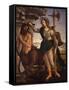 Pallas Athena and the Centaur, 1482-Sandro Botticelli-Framed Stretched Canvas