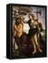 Pallas or Minerva and the Centaur c.1480-Sandro Botticelli-Framed Stretched Canvas