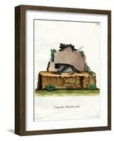 Pallas's Mastiff Bat-null-Framed Giclee Print