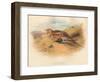 Pallass Sand-Grouse (Syrrhaptes paradoxus), 1900, (1900)-Charles Whymper-Framed Giclee Print