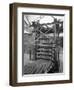 Palletising Machine at Whitwick Brickworks, Coalville, Leicestershire, 1963-Michael Walters-Framed Photographic Print