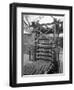 Palletising Machine at Whitwick Brickworks, Coalville, Leicestershire, 1963-Michael Walters-Framed Photographic Print