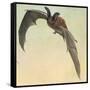 Pallid Bat-Louis Agassiz Fuertes-Framed Stretched Canvas